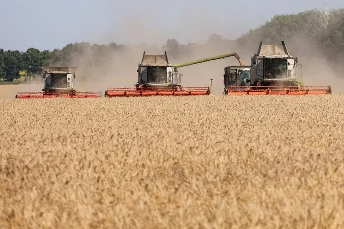 Російська блокада портів поставила під загрозу посівну в Україні