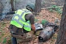 У Голосіївському районі через уламки дрона сталася лісова пожежа