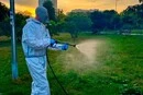 Повторна обробка від кліщів у парках Солом’янського району: де та коли проходитиме