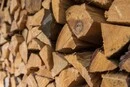 Рекордні тарифи перед зимою. Скільки коштують дрова у Києві та області (ціни)