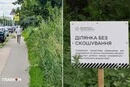 Весь Київ у бур'янах. Біолог пояснив, у чому небезпека