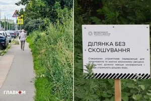 На окремих некошених ділянках у Києві бур'яни сягали людського зросту