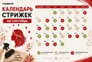 Лунный календарь стрижек на сентябрь 2026 года: когда лучшие дни для смены прически