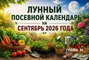 Лунный посевной календарь на сентябрь 2026 года: когда лучше собирать урожай