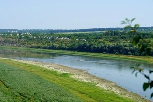 Обмілілий Дністер у Чернівецькій області 