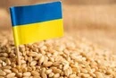 Україна швидко поверне ринки зерна після відновлення експорту з портів Одеси – Мінагрополітики