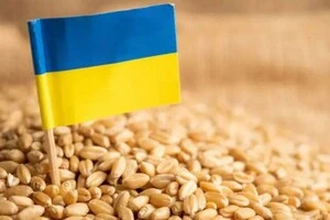 Українське зерно поверне свої ринки