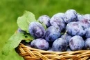 Ціни на сливи в України знизились