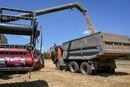 «Немає оборотних коштів та людей». Голова Асоціації фермерів заявив про неготовність до посівної