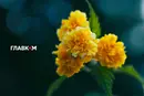 Синоптики назвали день, коли в Україну прийде осіннє похолодання