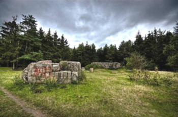 «Вервольф» по высокой ставке