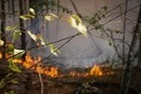 На Київщині оголошено надзвичайний рівень пожежної небезпеки