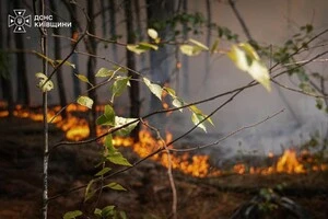 На Київщині заборонено спалювати суху траву, рослинні залишки та сміття, а також розводити багаття у невстановлених місцях