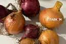 Цибуля по 3 грн, врожай гниє у полі: фермери попереджають про дефіцит овочів наступного року