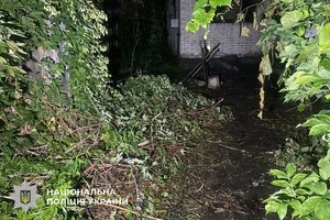 Вогнеборці, які прибули на виклик, ліквідували пожежу