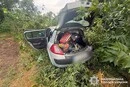 ДТП на Білоцерківщині: керманич із 3 проміле врізався в дерево