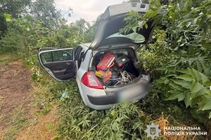Водій Renault не впорався з керуванням, злетів у кювет і таранував дерева
