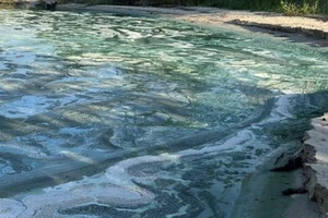 Цвітіння води у Дніпрі в Черкасах, 2025 рік
