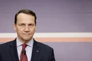 Сікорський закликав Європу відповісти на гібридну війну Росії