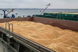 Україна залишається одним із важливих постачальників зерна на світовий ринок, а морські перевезення забезпечують значну частину його експорту