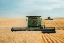 Світові ціни на агропродукцію показали найбільший стрибок за 14 років