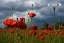 Більшу частину України накриють дощі з грозами: погода на 3 вересня 2026 року