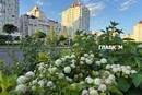 Майже +40°С та чотири рекорди: чим здивувало літо-2026 у Києві