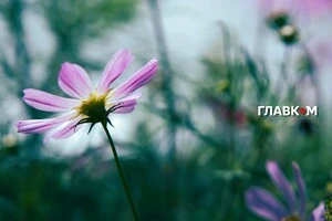 В Україні мінлива хмарність, очікуються дощі