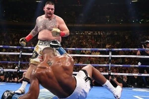 У 2019 році Руїс-молодший шокував Джошуа у бою за чемпіонський пояс у надважкій вазі