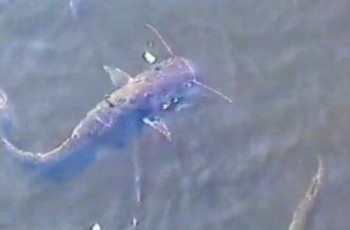 Украинцы не получат скидку по «коммуналке»