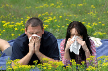 Як боротися з алергію на пилок?