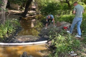 Забруднена водойма у Борщагівській громаді, де масово загинула риба