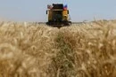 Зерновий експорт Росії обвалився до багаторічного мінімуму