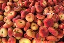 Де у Києві проходитимуть продуктові ярмарки 8-13 вересня (адреси)