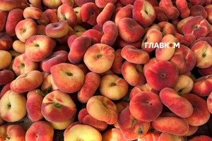 Організатори закликають відвідувачів дбати про власну безпеку та слідувати в укриття під час оголошення повітряної тривоги