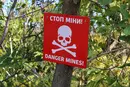 Російські міни в Україні: постраждали 1688 цивільних