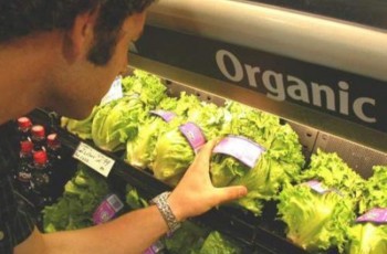 Зеленая еда: стоит ли платить двойную цену за наклейку «био»
