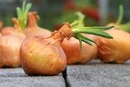 В Україні почала дорожчати цибуля