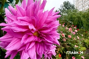 14 вересня дощі та грози охоплять південь і більшість центральних областей України 