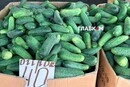 Де у Києві проходитимуть продуктові ярмарки 19-20 вересня (адреси)