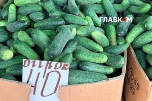 Організатори закликають відвідувачів дбати про власну безпеку та слідувати в укриття під час оголошення повітряної тривоги