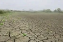 На Волині повністю висох ставок, де ще торік ловили карасів (відео)