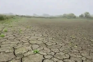 Висохлий ставок у селі Чаруків на Волині