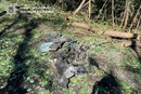 Ворожий БпЛА впав у Дніпровському районі Києва. Кличко розповів подробиці