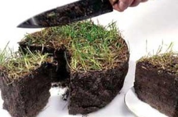 Приняли земельный закон: Что изменится