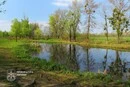 Захист острова Муромець: прокуратура судиться за межі «Урочища Бобровня»