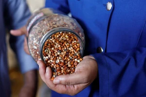 Насіння та посадковий матеріал належать до продукції, імпорт якої підлягає фітосанітарному контролю для запобігання поширенню шкідників і хвороб рослин