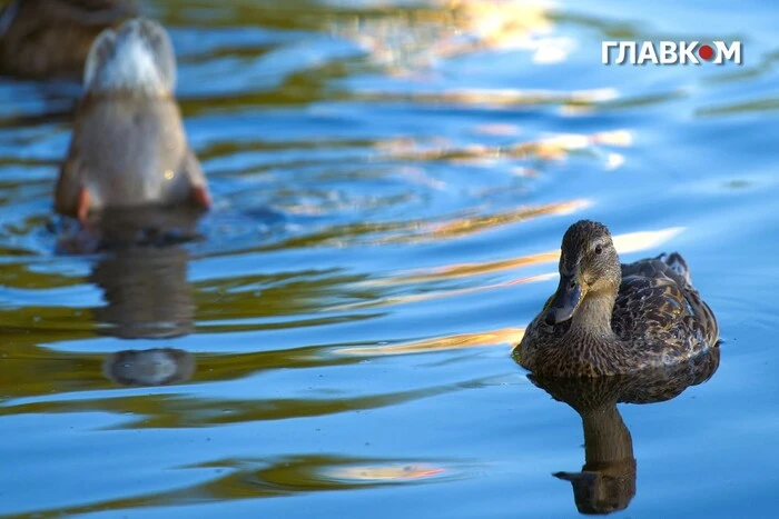 В Україні до 26°, місцями короткочасні дощі: погода на 19 вересня 2026 року