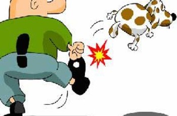 Украина избавляется от несостоятельных чиновников высшего ранга