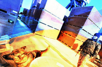 Украина, Таможенный союз и ЕС